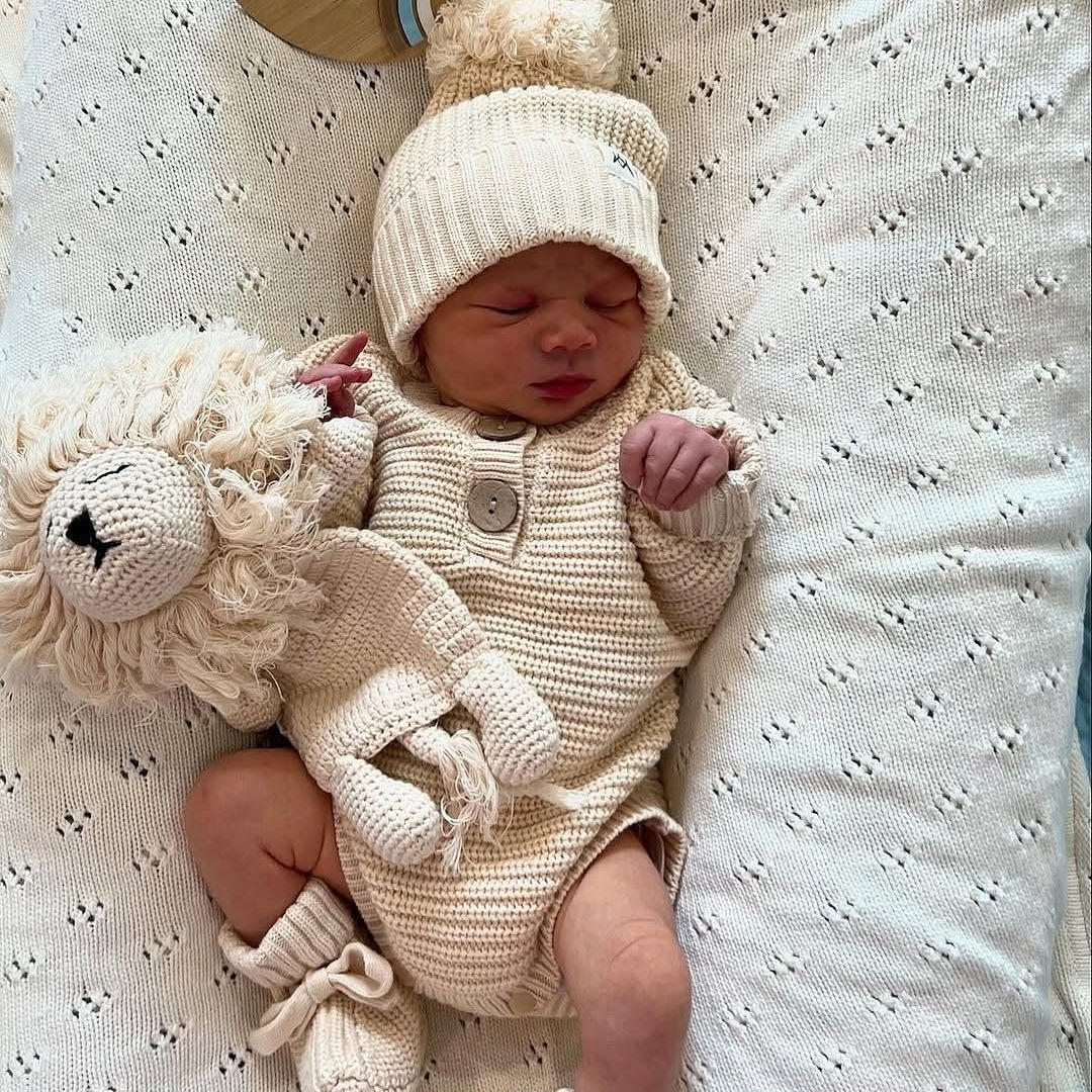 Oat Knitwear & Lion Bundle - 4 Pieces